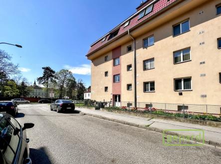 iva-brno-52.jpg | Pronájem bytu, 5+kk, 125 m²
