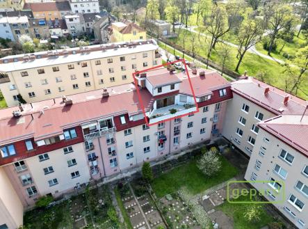 iva-brno.jpg | Pronájem bytu, 5+kk, 125 m²