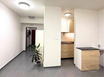 Prodej bytu, 1+1, 33 m²