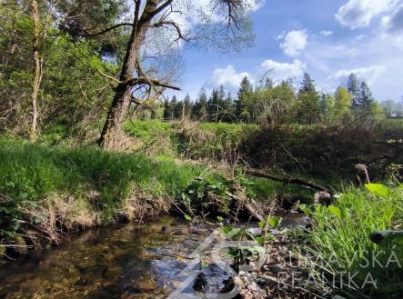 foto: 4 | Prodej - pozemek, zahrada, 16 343 m²