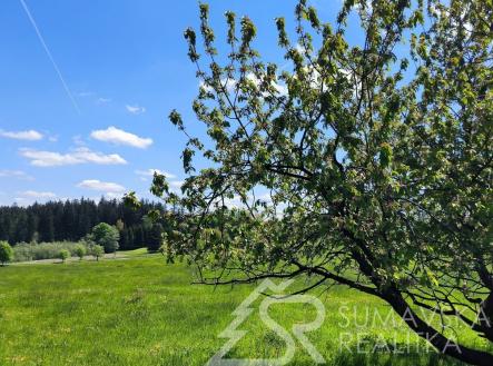Prodej - pozemek, zahrada, 3 552 m² obrázek
