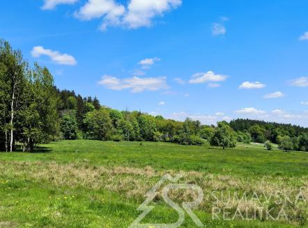 foto: 3 | Prodej - pozemek, zahrada, 3 552 m²