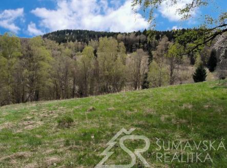 foto: 1 | Prodej - pozemek, trvalý travní porost, 6 305 m²
