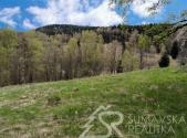 Prodej - pozemek, trvalý travní porost, 6 305 m²