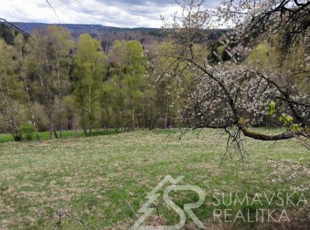 foto: 4 | Prodej - pozemek, trvalý travní porost, 6 305 m²