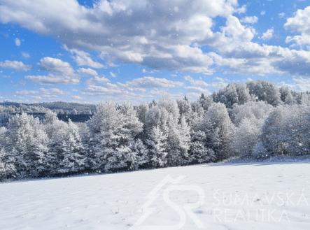 foto: 2 | Prodej - pozemek pro bydlení, 3 500 m²