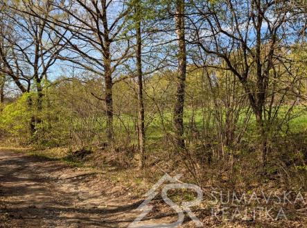 foto: 2 | Prodej - pozemek, ostatní, 165 m²