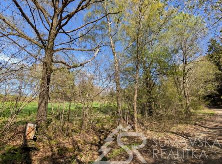 foto: 3 | Prodej - pozemek, ostatní, 165 m²