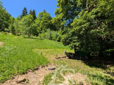 foto: 4 | Prodej - pozemek pro bydlení, 2 979 m²