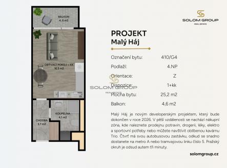 Prodej bytu, 1+kk, 30 m²