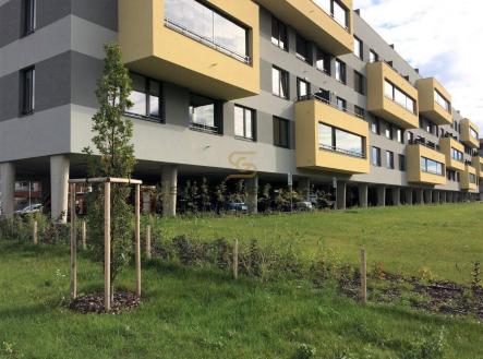 Pronájem bytu, 1+kk, 47 m²