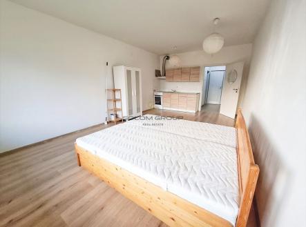Pronájem bytu, 1+kk, 47 m²