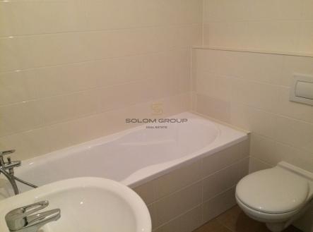 Pronájem bytu, 1+kk, 47 m²