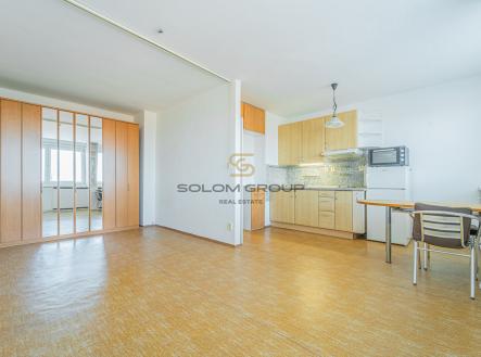 Pronájem bytu, 1+kk, 30 m² obrázek