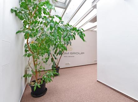 Pronájem - kanceláře, 62 m²