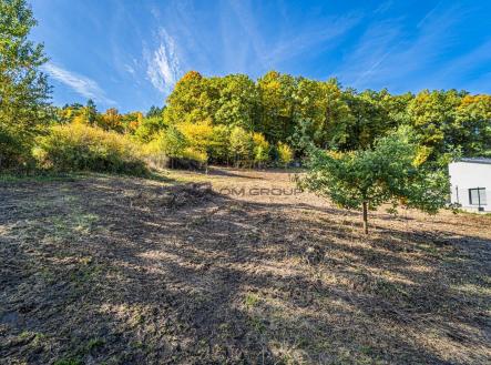 Prodej - pozemek pro bydlení, 1 364 m²