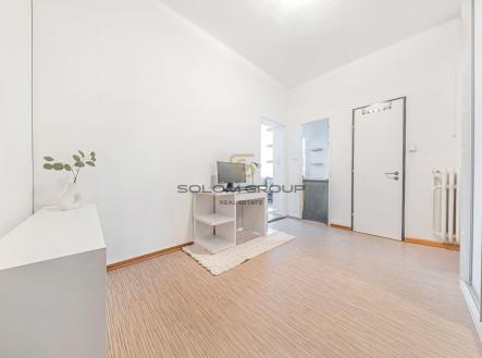 Prodej bytu, 1+kk, 45 m²