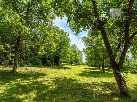 005-2.jpg | Prodej - pozemek pro bydlení, 3 034 m²