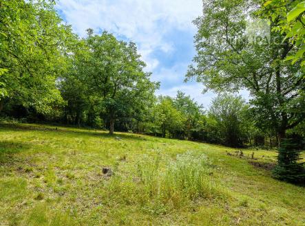 006-2.jpg | Prodej - pozemek pro bydlení, 3 034 m²