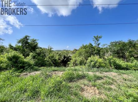 Isery Main Road | Prodej - pozemek pro bydlení, 716 m²