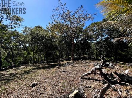 Bodden Bight Estate Jonesville | Prodej - pozemek pro bydlení, 2 400 m²