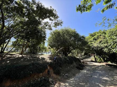 Bodden Bight Estate Jonesville | Prodej - pozemek pro bydlení, 2 400 m²