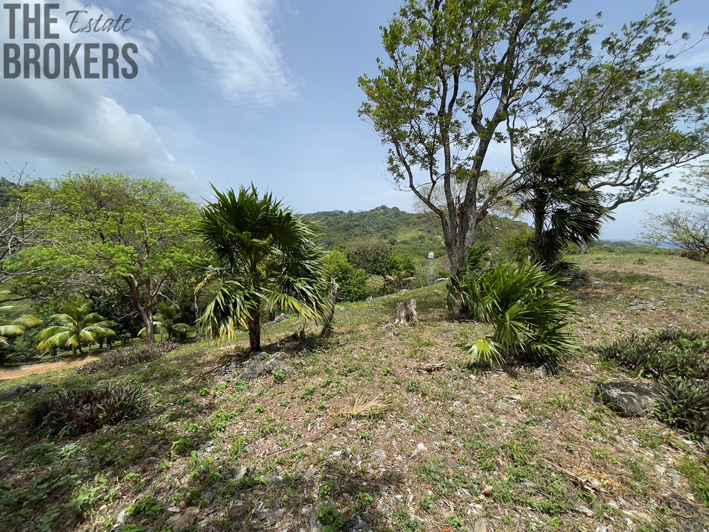LOT 6 Bodden Bight Estate, Roatan