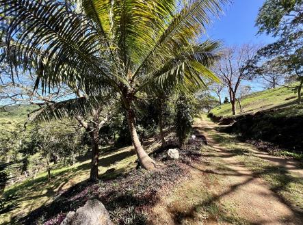 LOT 10 Bodden Bight Estate, Roatan | Prodej - pozemek pro bydlení, 1 872 m²