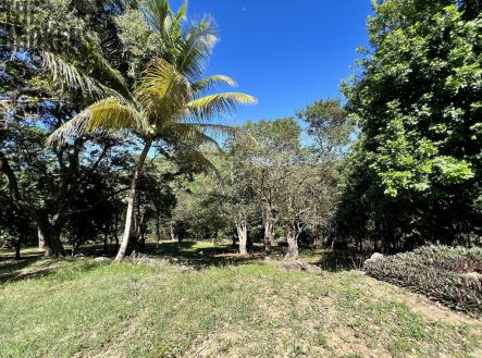 LOT 9 Bodden Bight Estate, Roatan | Prodej - pozemek pro bydlení, 1 965 m²