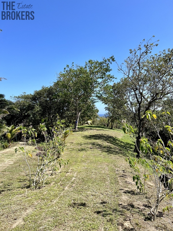 Lot 1 Bodden Bight Estate, Roatan