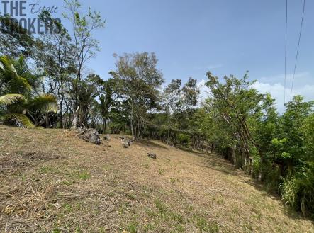 Lot 1 Bodden Bight Estate, Roatan | Prodej - pozemek pro bydlení, 1 884 m²