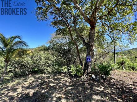 LOT 8 Bodden Bight Estate, Roatan | Prodej - pozemek pro bydlení, 2 107 m²