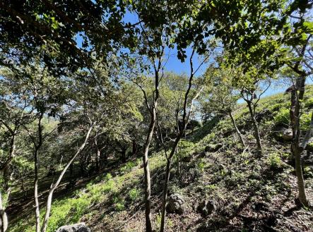 LOT 8 Bodden Bight Estate, Roatan | Prodej - pozemek pro bydlení, 2 107 m²