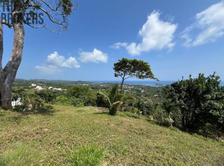 Lot#31  Coral View Village, Roatan | Prodej - pozemek pro bydlení, 2 428 m²