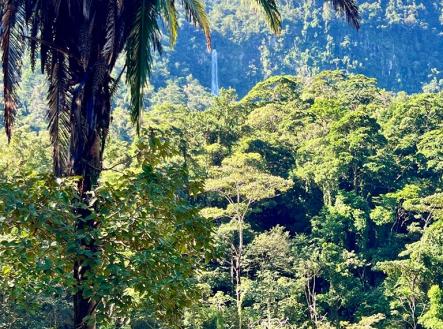 Villas at Pico Bonito | Prodej - dům/vila, 4 080 m²