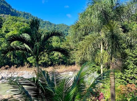 Villas at Pico Bonito | Prodej - dům/vila, 4 080 m²