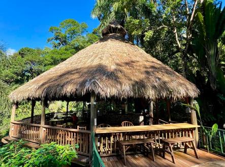 Villas at Pico Bonito | Prodej - dům/vila, 4 080 m²