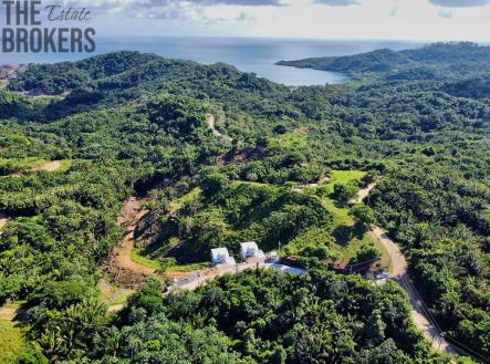 Falcon Valley Lot#12 Santos Guardiola, Roatan | Prodej - pozemek pro bydlení, 200 m²