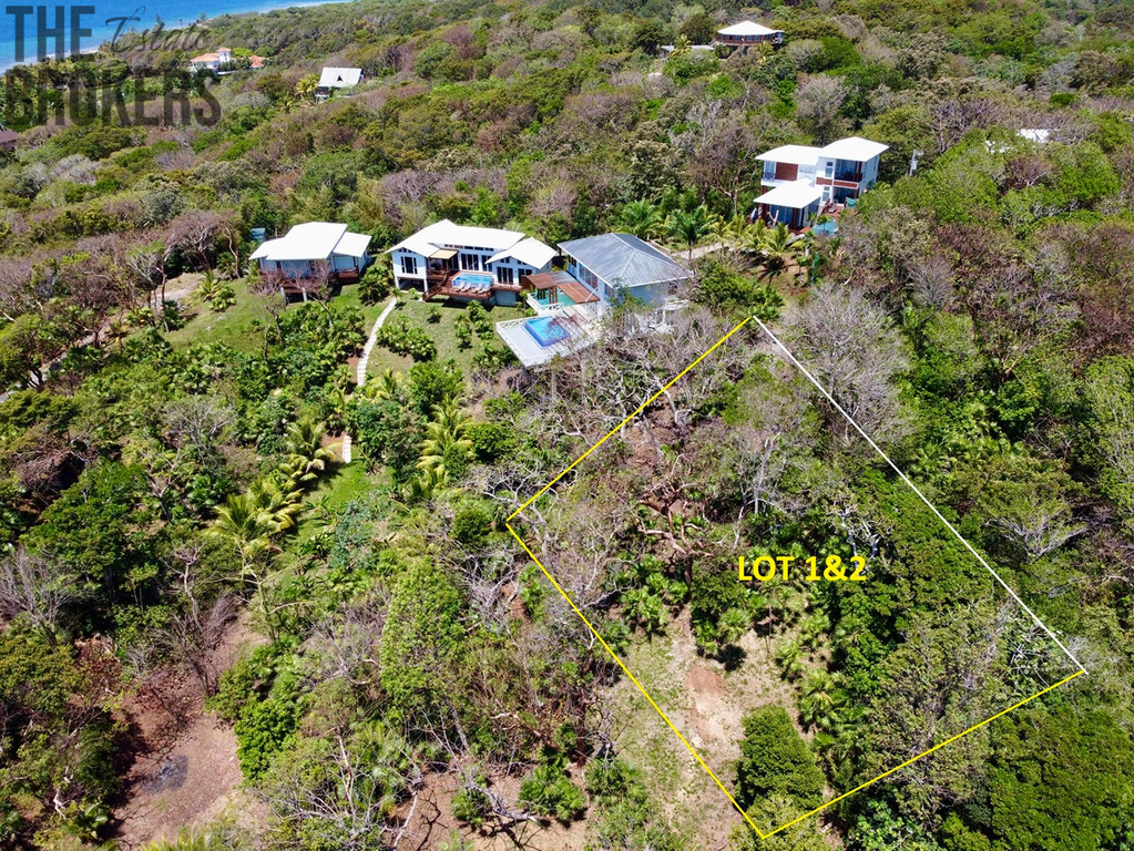 Atocha Lot 1&2 First Bight, Roatan