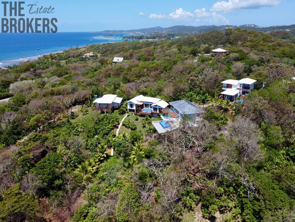 Atocha Lot 1&2 First Bight, Roatan