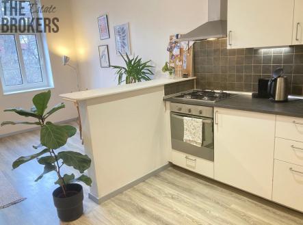 obrazek-whatsapp-2025-03-14-v-15.00.53-2581b617.jpg | Pronájem bytu, 2+kk, 55 m²