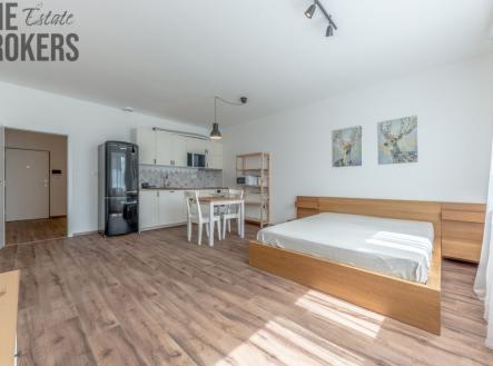 Pronájem bytu, 1+kk, 41 m²