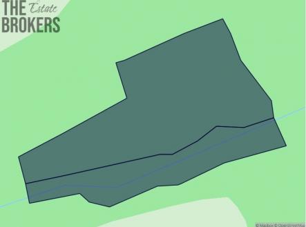 1.jpg | Prodej - pozemek, les, 21 836 m²