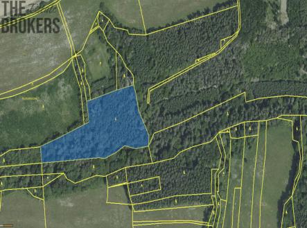 sniimek-obrazovky-2023-04-11-va-17.50.18.jpg | Prodej - pozemek, les, 21 836 m²