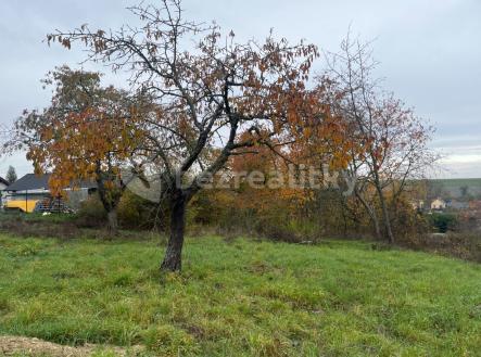 1 | Prodej - pozemek pro bydlení, 920 m²