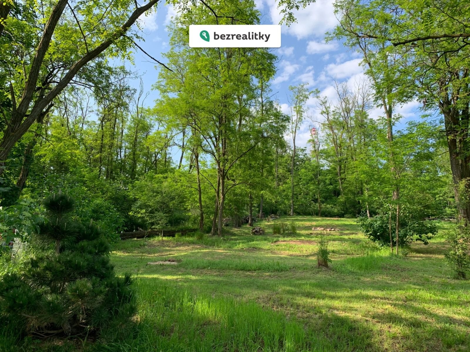 1718139149-cxxqtycock-img-0431