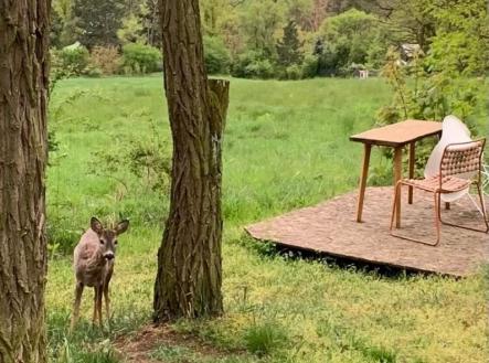 1718139200-snaneczent-img-2722-2-ve-velke-cc-81-velikosti | Prodej - pozemek pro bydlení, 2 112 m²