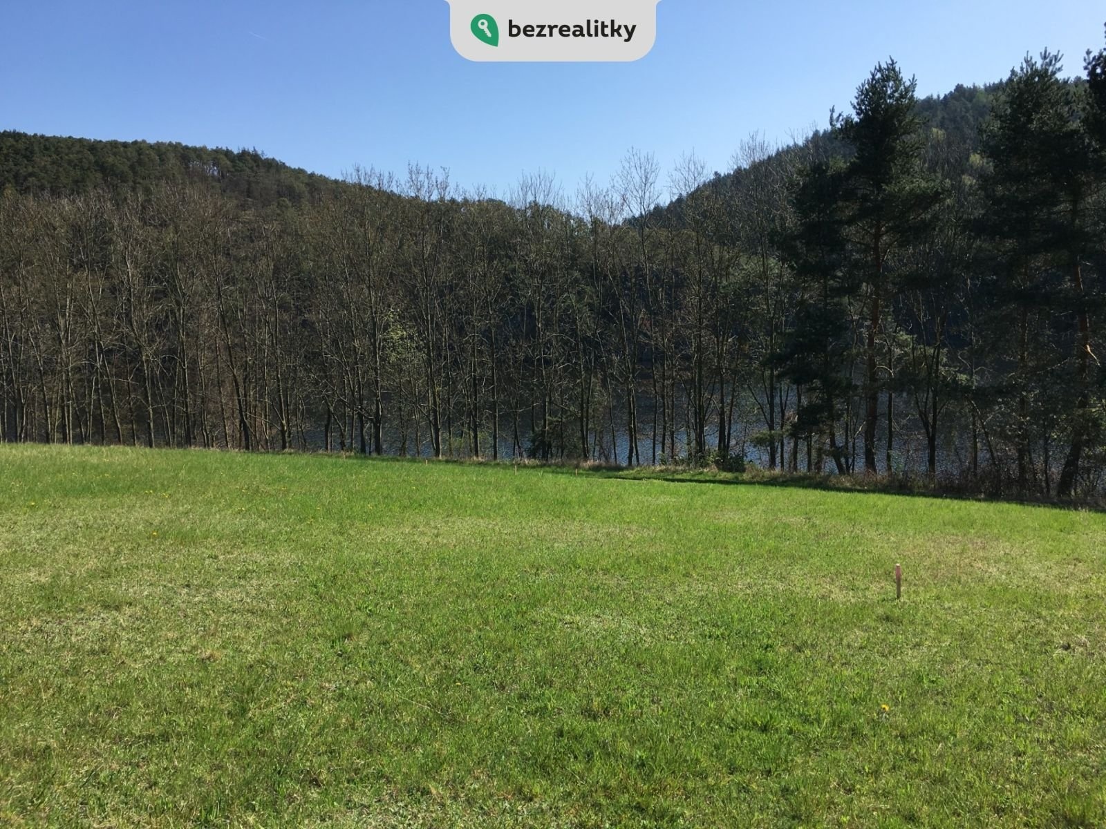 1737196071-wshbzogwow-img-4555