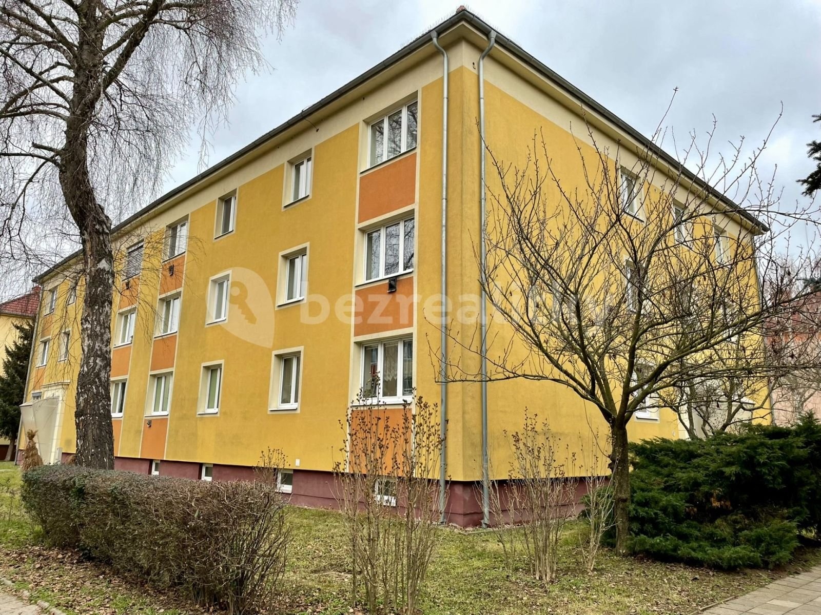 1737721401-ejebromtqk-img-2600