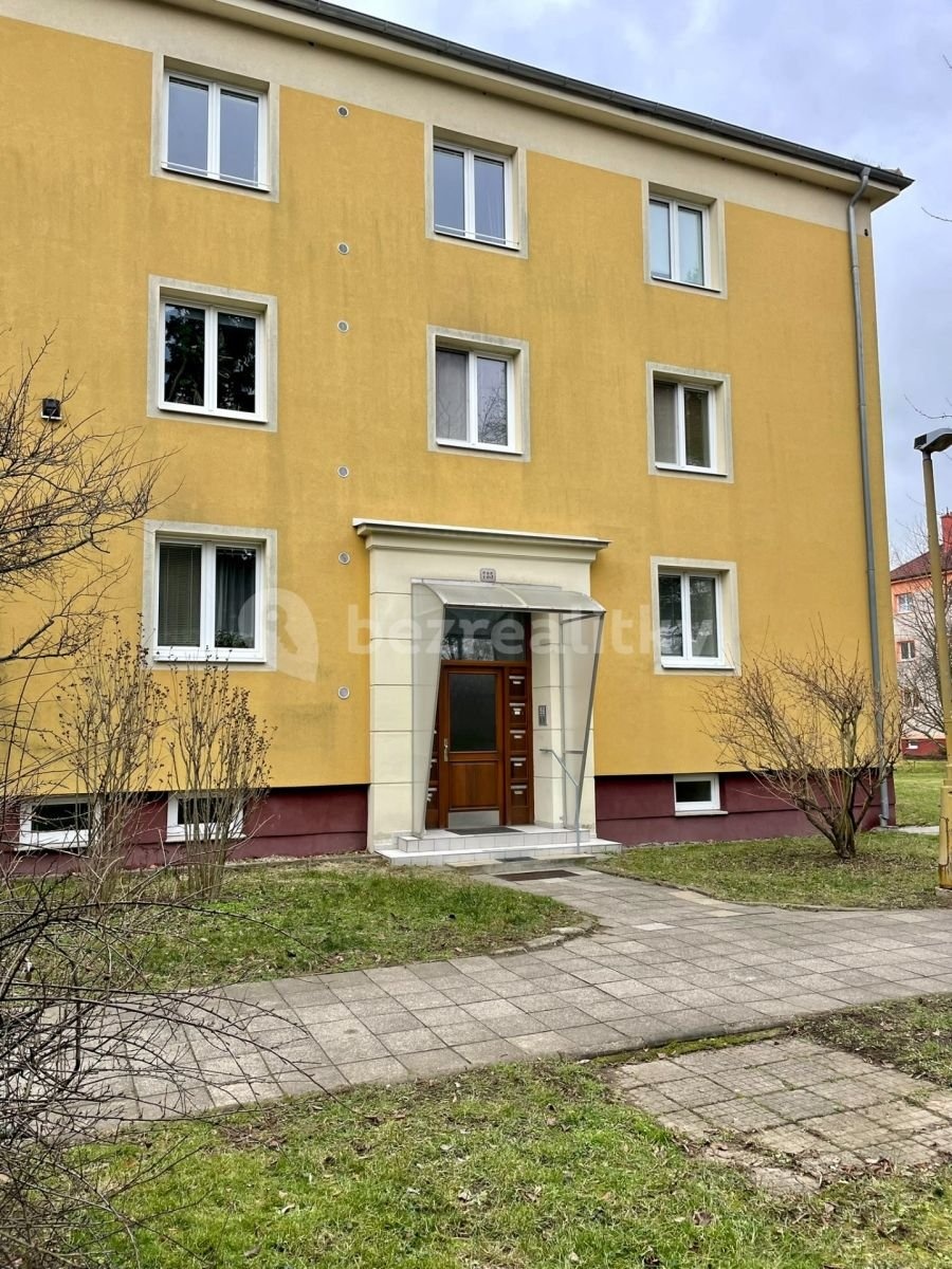 1737721400-ajgdpmuudb-img-2591